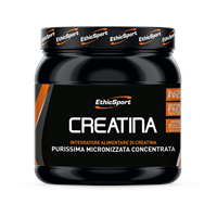 CREATINA 300g Ethic Sport